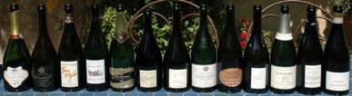 13 Champagnes 13 Champagnes